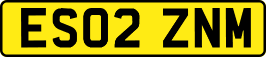 ES02ZNM