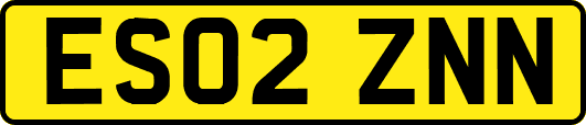 ES02ZNN