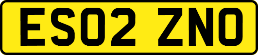 ES02ZNO