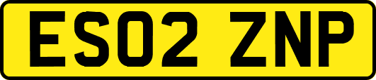 ES02ZNP