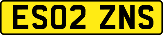 ES02ZNS