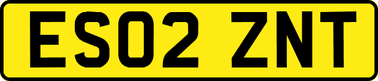 ES02ZNT