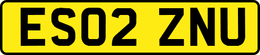 ES02ZNU