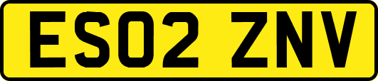 ES02ZNV