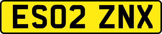 ES02ZNX