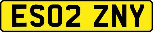 ES02ZNY