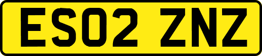 ES02ZNZ