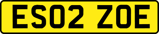 ES02ZOE