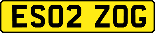 ES02ZOG