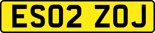 ES02ZOJ