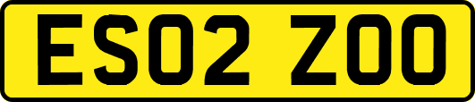 ES02ZOO