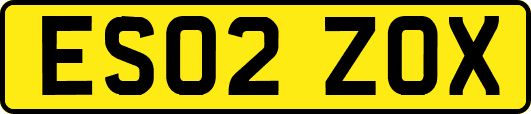 ES02ZOX