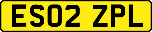 ES02ZPL