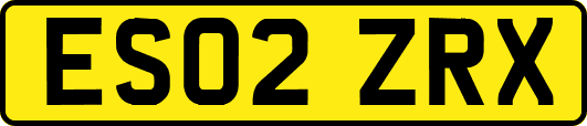 ES02ZRX