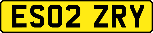 ES02ZRY