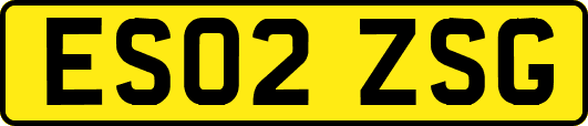 ES02ZSG