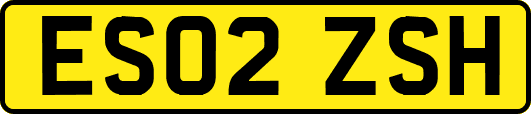 ES02ZSH