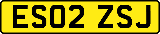 ES02ZSJ