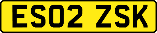 ES02ZSK