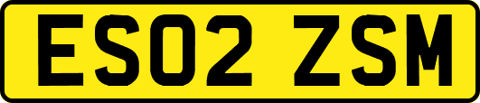 ES02ZSM
