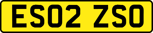 ES02ZSO