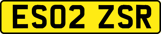 ES02ZSR