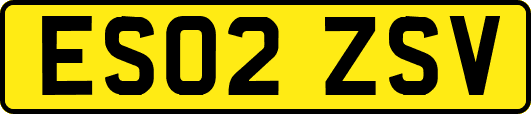 ES02ZSV