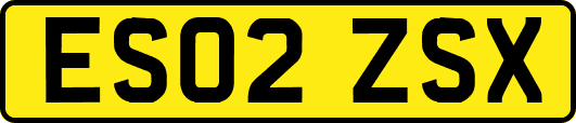ES02ZSX