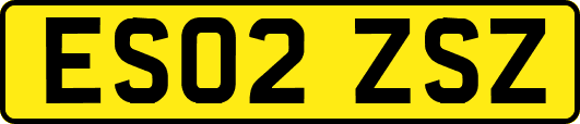 ES02ZSZ