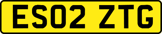 ES02ZTG