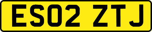 ES02ZTJ