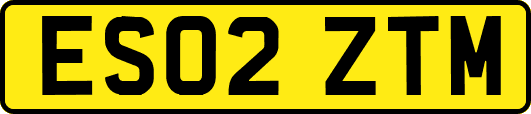 ES02ZTM