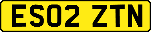 ES02ZTN