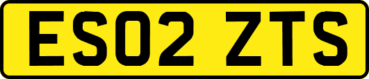 ES02ZTS