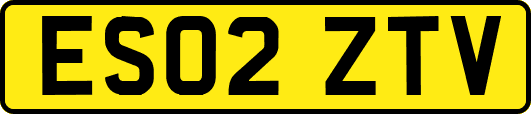 ES02ZTV