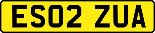 ES02ZUA