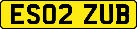 ES02ZUB