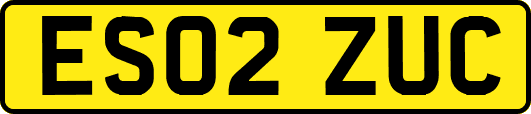 ES02ZUC