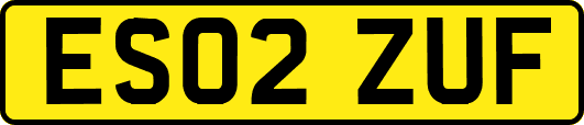ES02ZUF