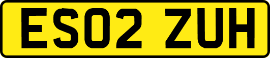 ES02ZUH