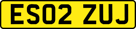ES02ZUJ