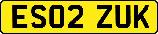 ES02ZUK