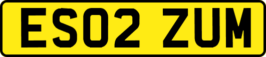 ES02ZUM