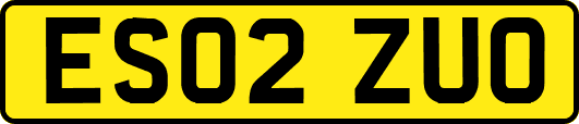 ES02ZUO