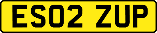 ES02ZUP