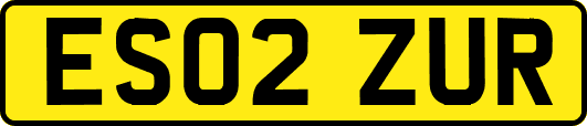 ES02ZUR