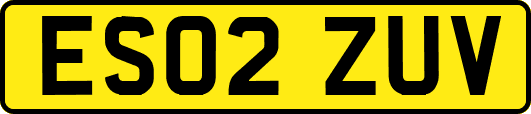 ES02ZUV