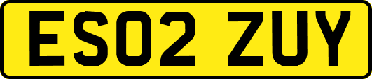 ES02ZUY