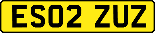 ES02ZUZ