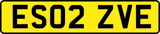 ES02ZVE